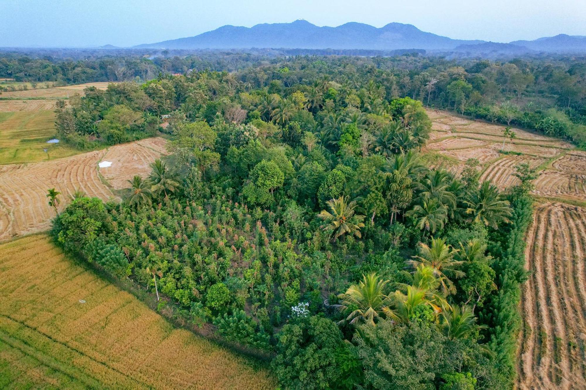 Mailagama Cinnamon Residence Kataragama Exterior foto
